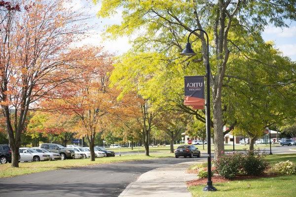 Campus Scenic Fall - Parking Lot Cars